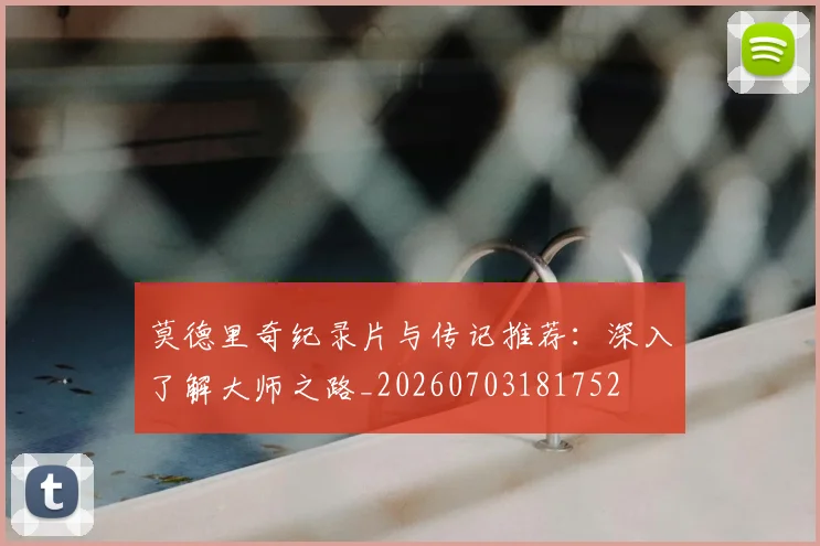 莫德里奇纪录片与传记推荐:深入了解大师之路_20260703181752