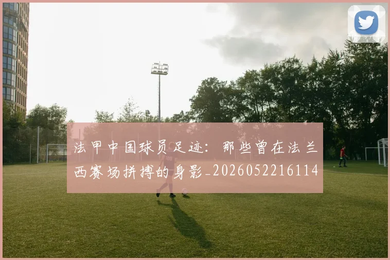 法甲中国球员足迹：那些曾在法兰西赛场拼搏的身影_20260522161146