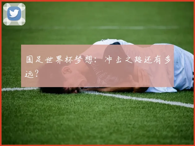 国足世界杯梦想:冲击之路还有多远?