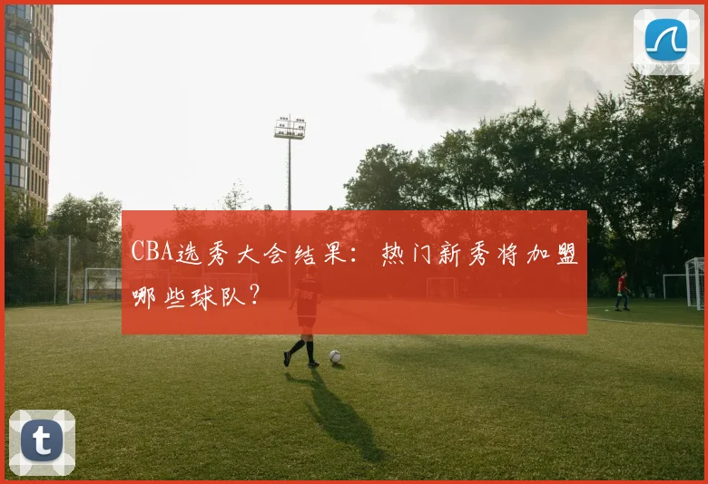 CBA选秀大会结果：热门新秀将加盟哪些球队？