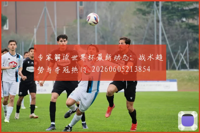 专家解读世界杯最新动态：战术趋势与夺冠热门_20260605213854